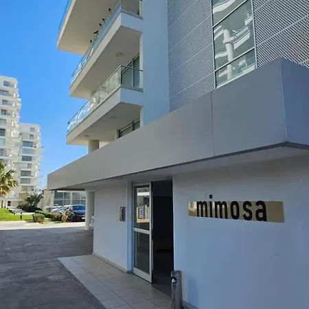 Muhteşem Deniz Manzaralı Stüdyo