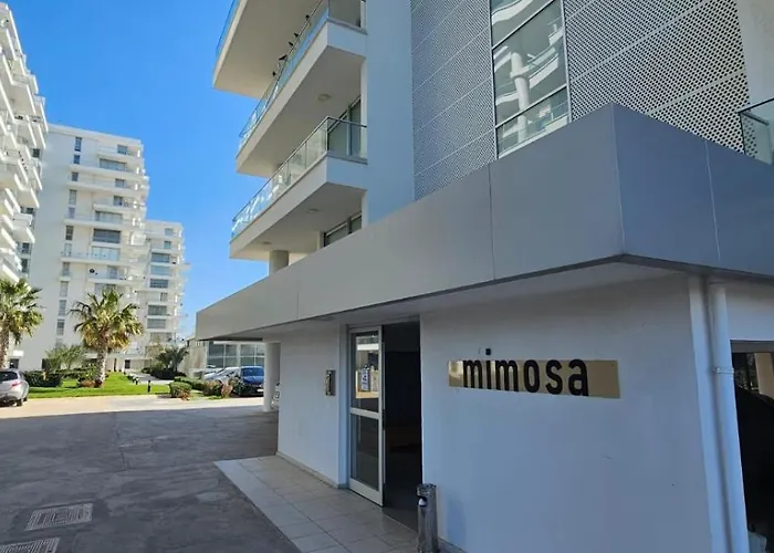 Muhteşem Deniz Manzaralı Stüdyo